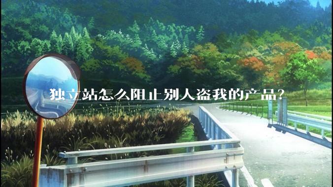 独立站怎么阻止别人盗我的产品？