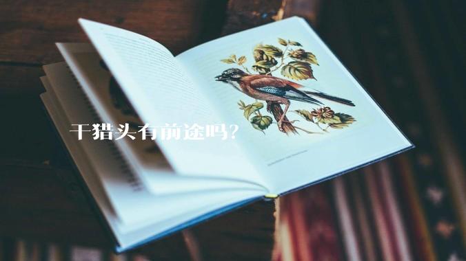 干猎头有前途吗？
