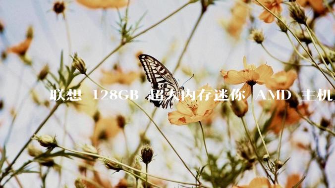 联想 128GB 超大内存迷你 AMD 主机上架，此款主机有哪些亮点？