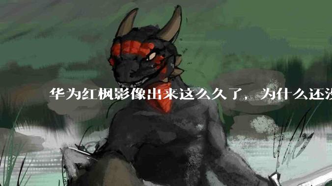 华为红枫影像出来这么久了，为什么还没有友商跟进？是不是说明这是一项可有可无的技术？