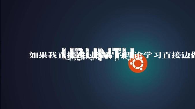 如果我直接跳过编程的理论学习直接边做一些小项目边学可以学会编程这个技能吗？能够用来工作吗？