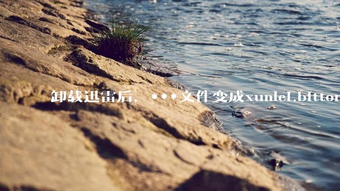 卸载迅雷后，***文件变成xunlei.bittorrent.6,怎么还原回去啊，心态炸了！?